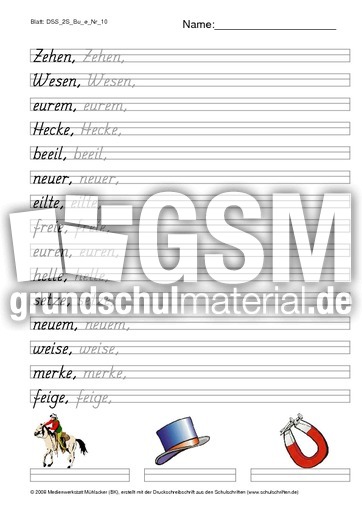 DSS_2S_Bu_e_Nr_10.pdf